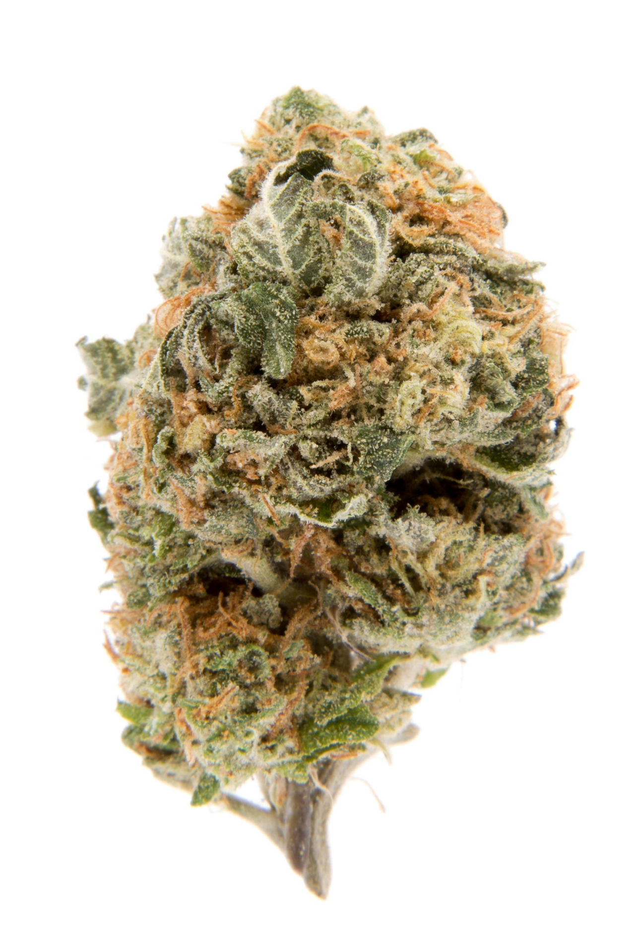 Photograph of product: Trichome Farms Blueberry Sugar - 1g