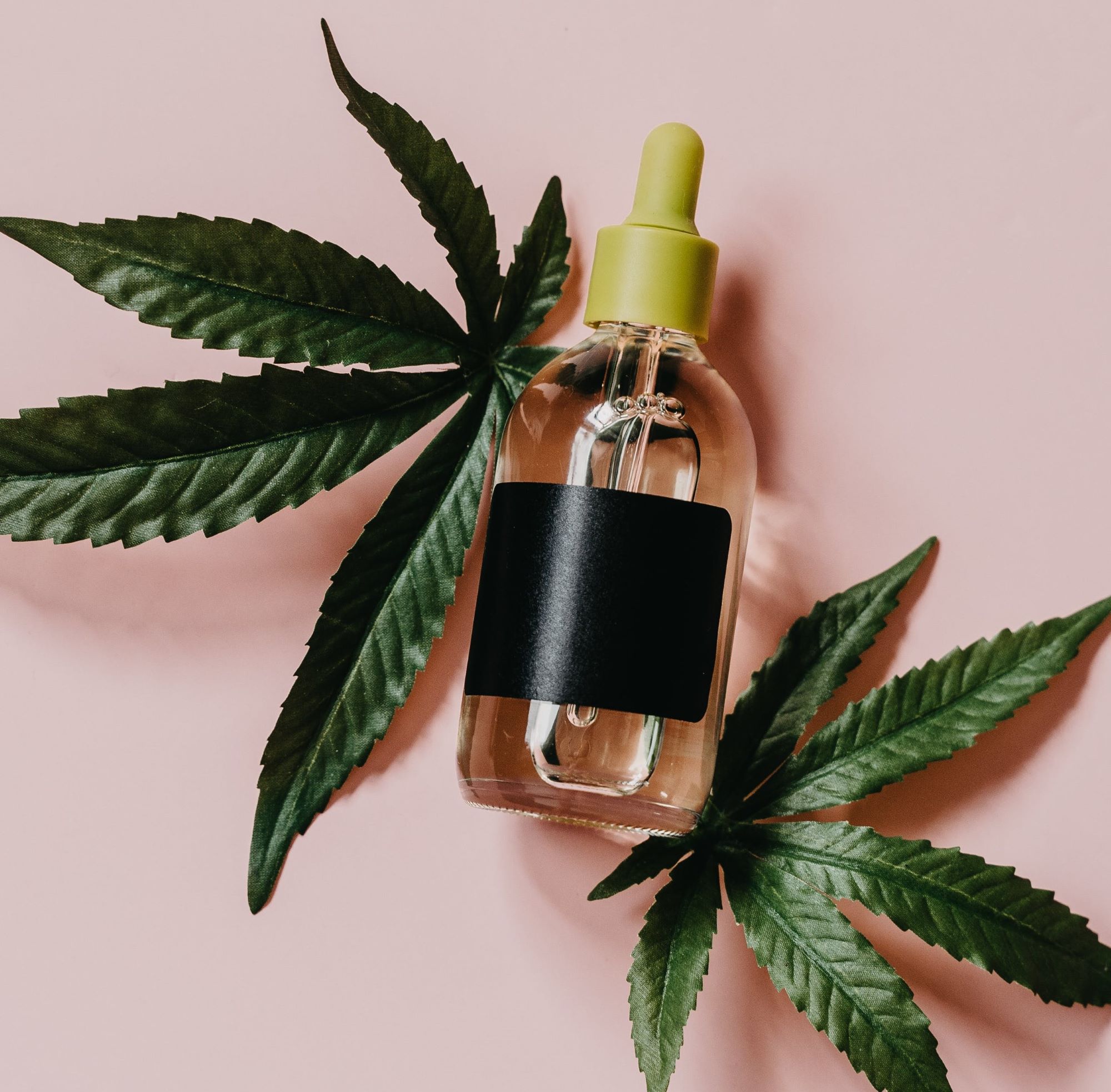 Photograph of product: [REC] KORE | Purple Reign | 80mg Syrup