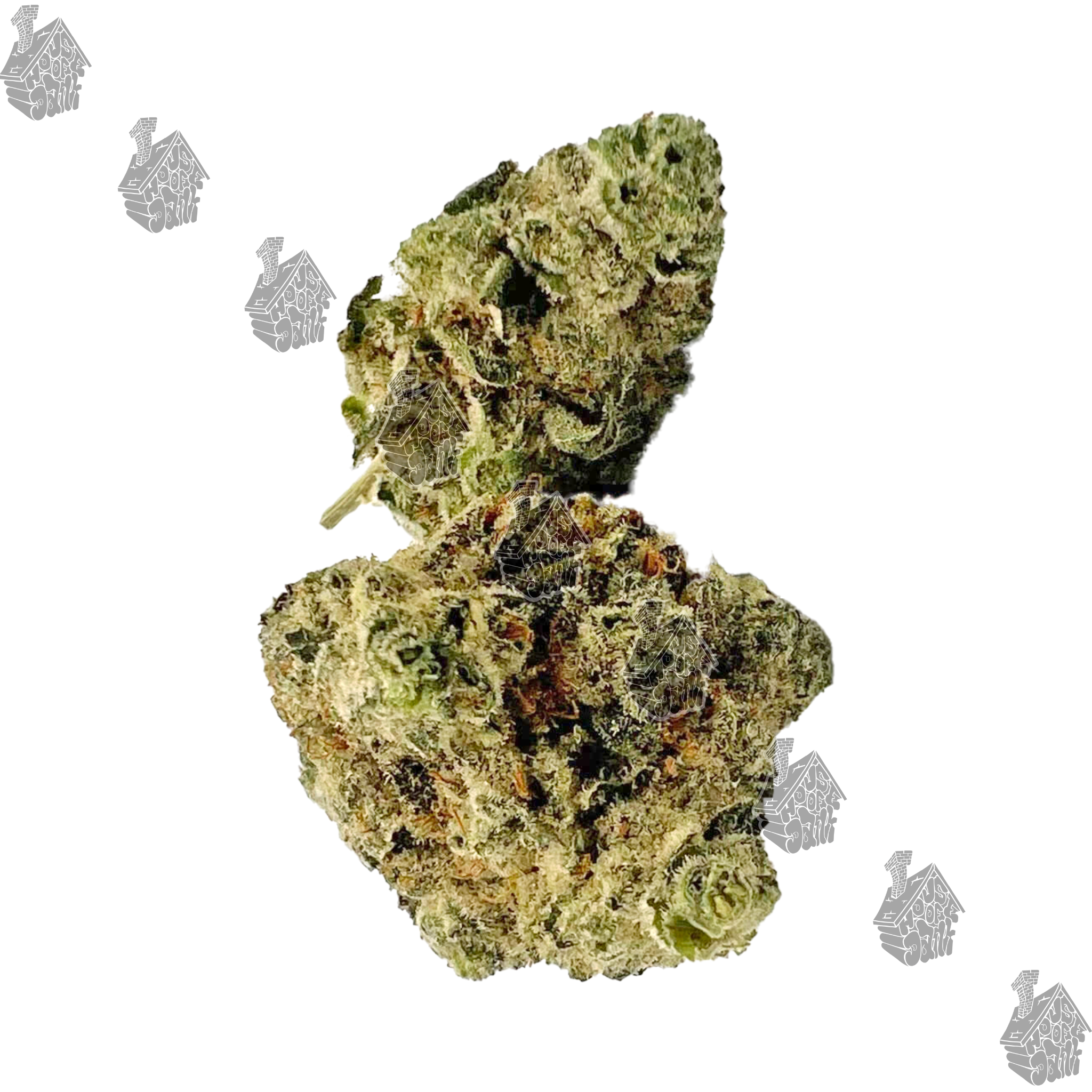 Photograph of product: Josey Whales - 28g