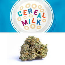 Photograph of product: Cookies | Flower Tubs Cereal Milk - 3.5g