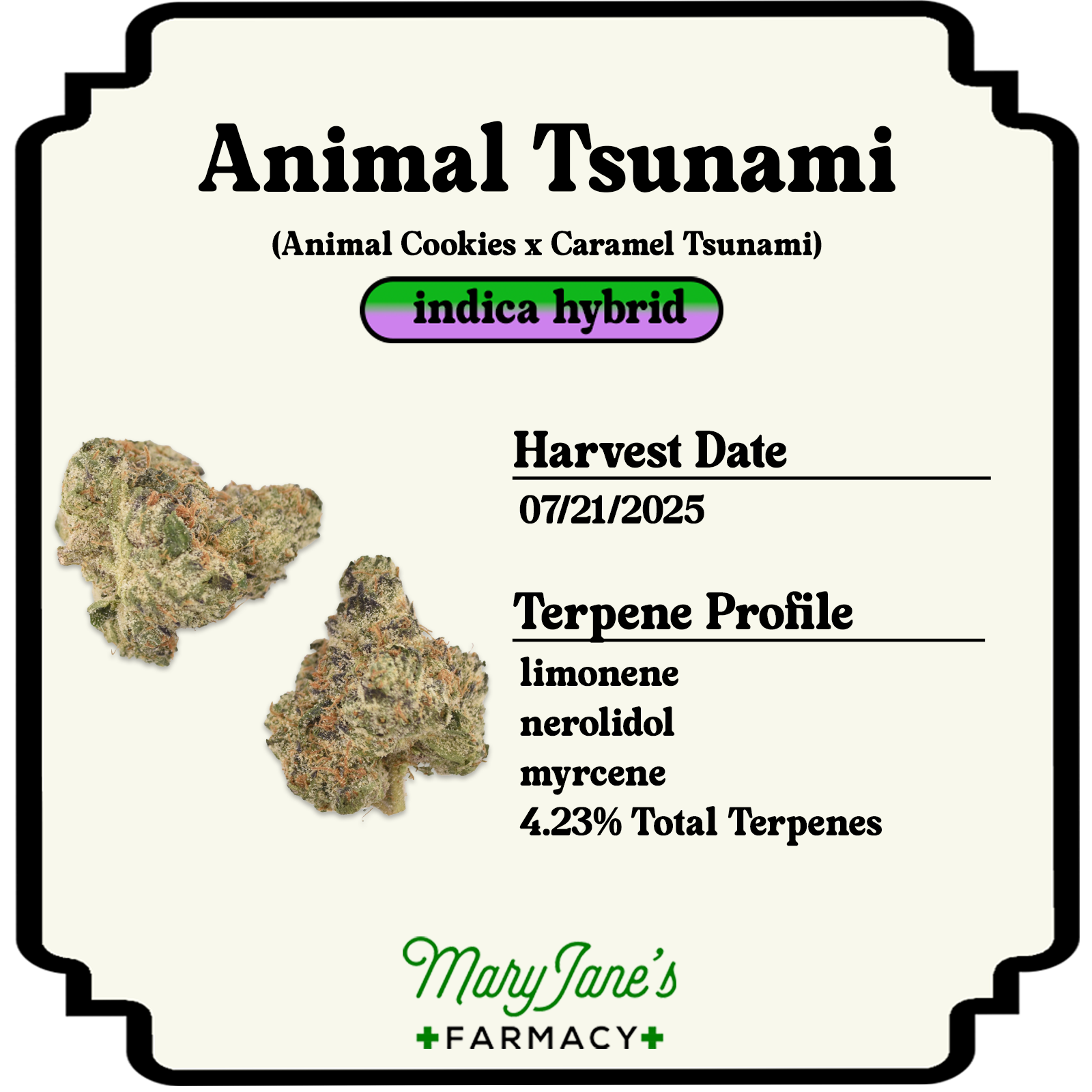 Photograph of product: Animal Tsunami - 2g