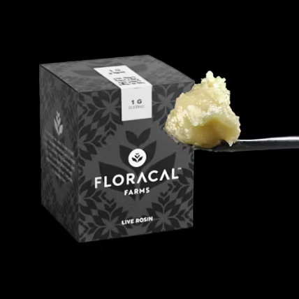 Photograph of product: CL Floracal Live Rosin Badder (Oui'd) - Papaya Eclipse 1g