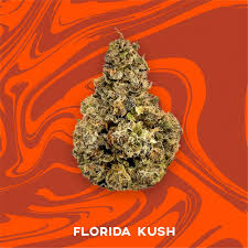Photograph of product: Vivid - Florida Kush - Deli Popcorn - 84g