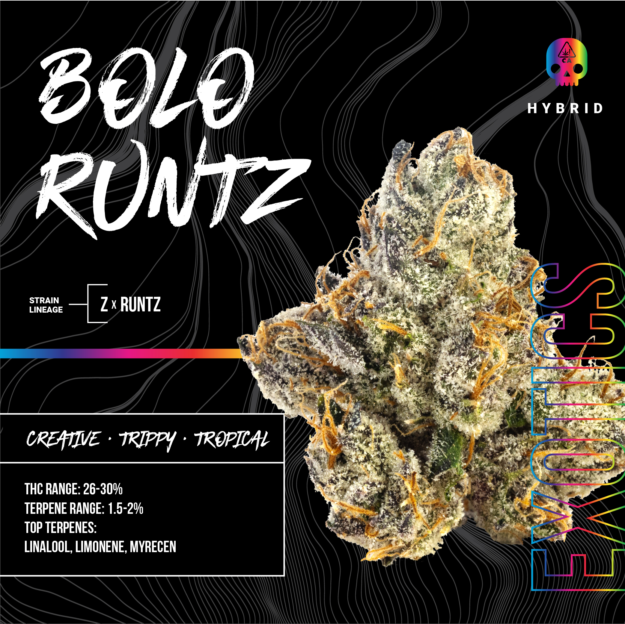 Photograph of product: BOLO RUNTZ EIGHTH