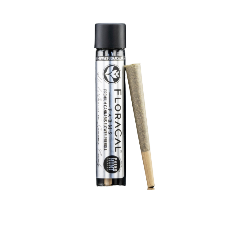 Photograph of product: FloraCal | Maui Punch | Indoor Pre-Roll | 1g