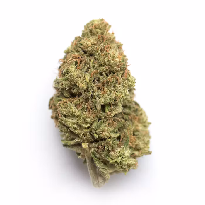 Photograph of product: Gelato Runtz - 28g
