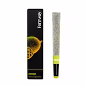 Photograph of product: Mango - 1g