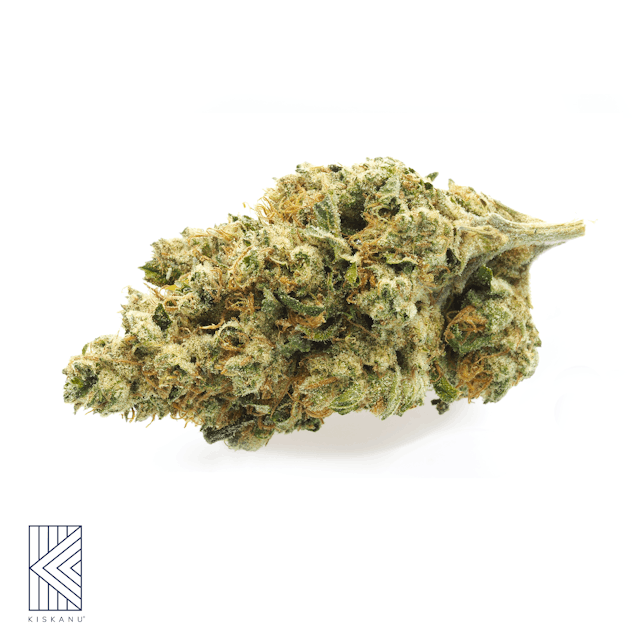 Photograph of product: Delicata Grapes Select (1/8oz) - Delicata Grapes Select 1/8oz