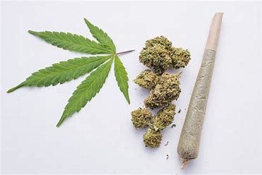 Photograph of product: Tooties | OG Skunk | 1g PREROLL