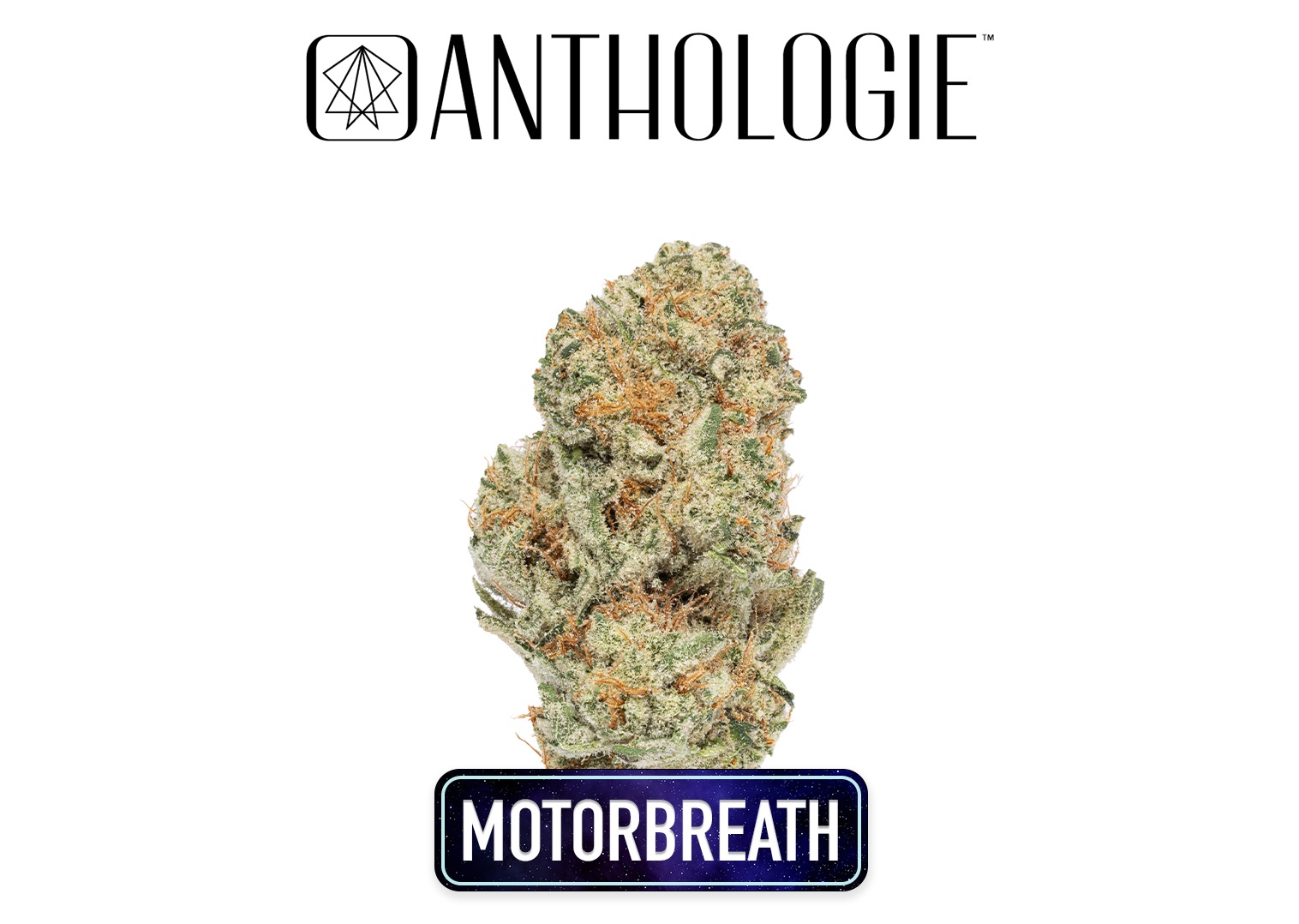 Photograph of product: Motorbreath #15 .5g Pre-Roll 5-Pack