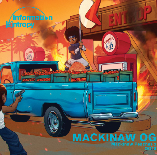 Photograph of product: Information Entropy Mackinaw OG Bic Lighter