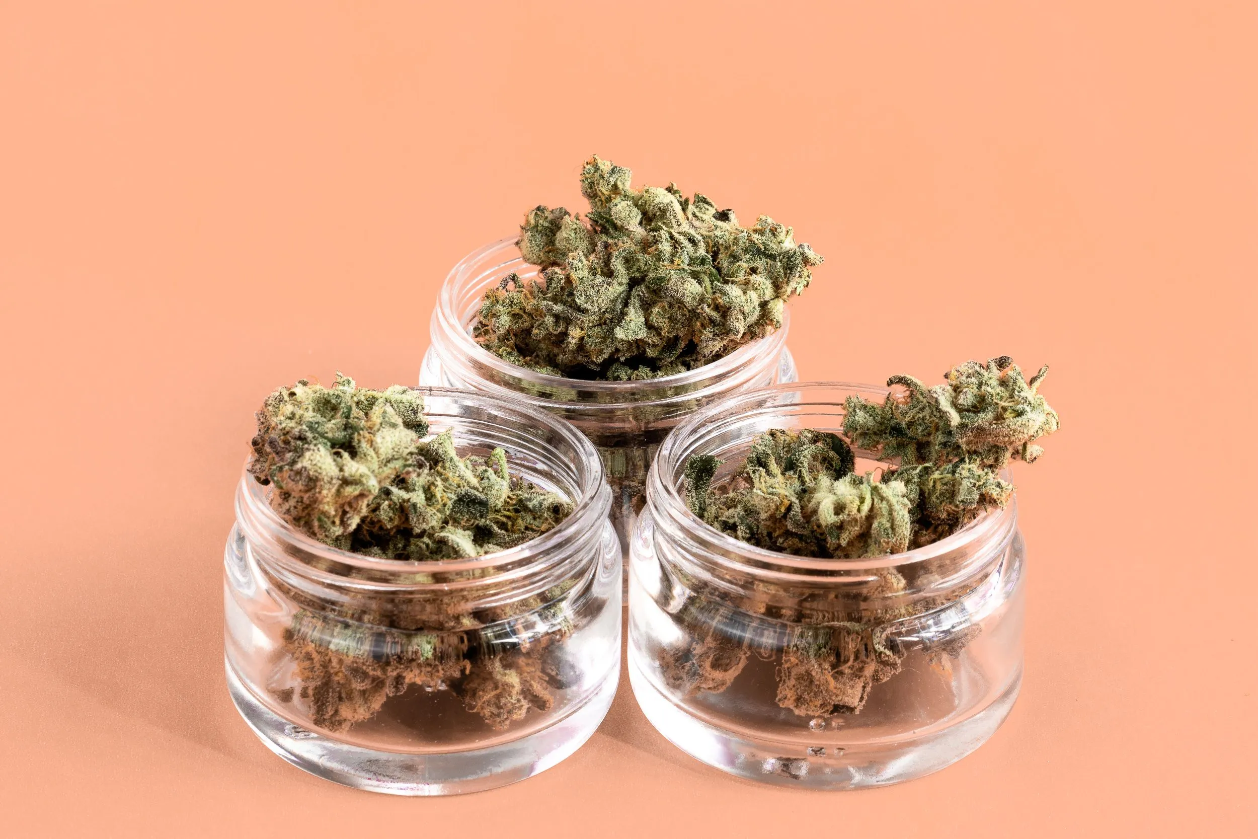 Photograph of product: Jack Herer | 28g