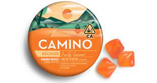 Photograph of product: Camino 'Recover' Freshly Squeezed Gummies 10pk 200mg