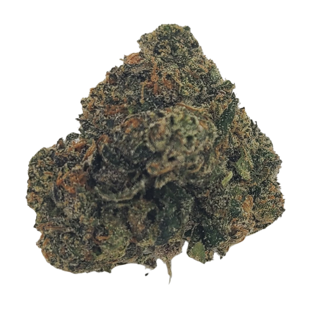 Photograph of product: Hard Hitter | Jokerz 31 - 28g