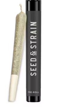 Photograph of product: Red Rocket - Preroll