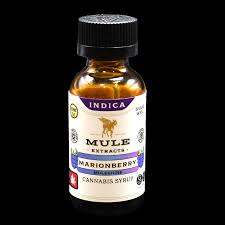 Photograph of product: Muleshine 500mg Marionberry Syrup