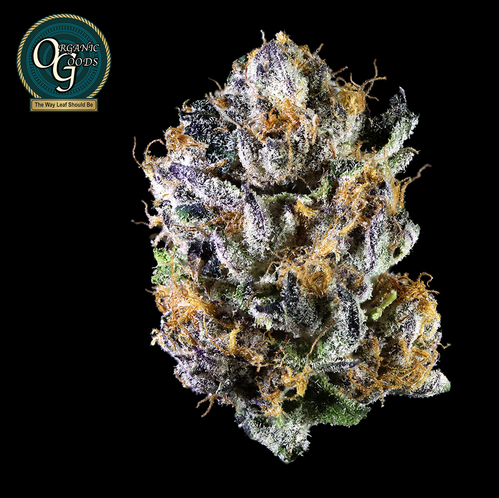 Photograph of product: Modified Grapes cultivated by Iron Lung - 28g