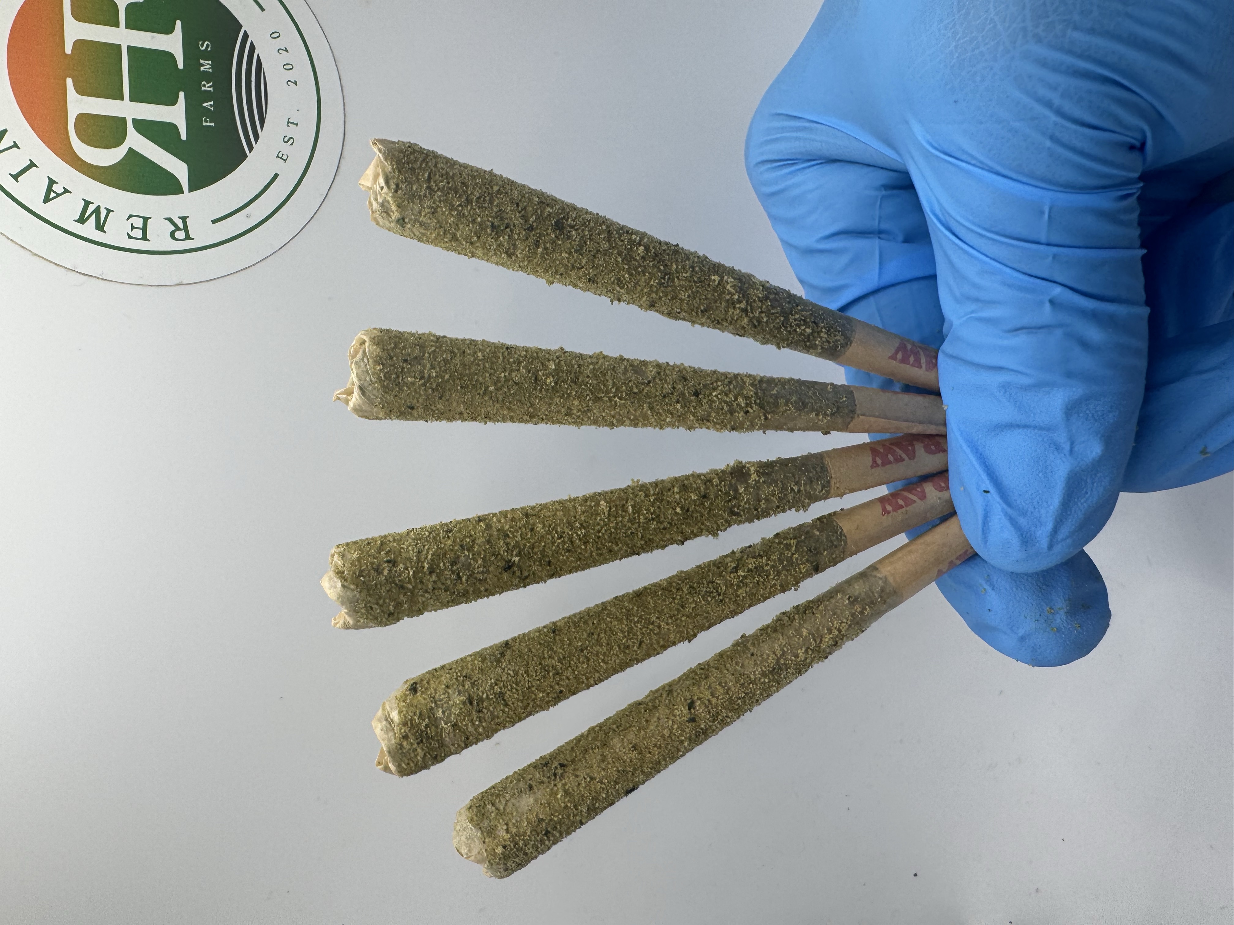 Photograph of product: Humble Hammer - PreRoll 5 Pack