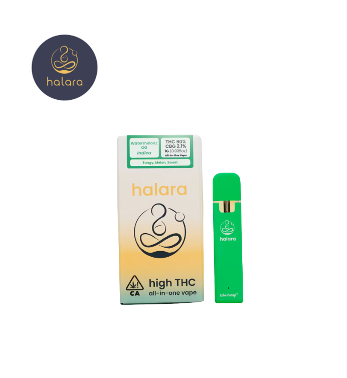 Photograph of product: WATERMELON OG 1G ALL IN ONE