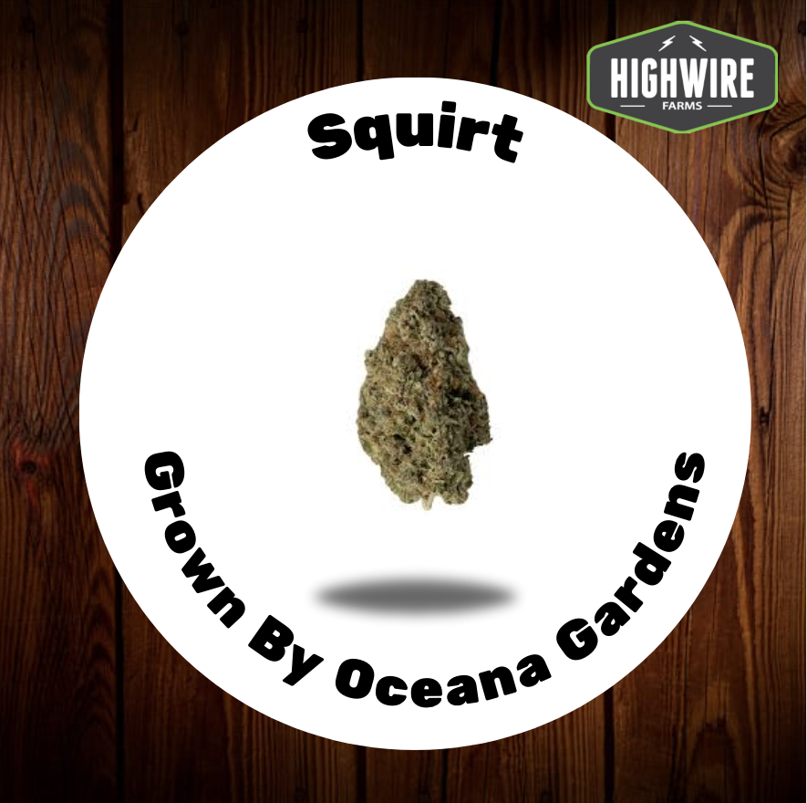 Photograph of product: Squirt OZ