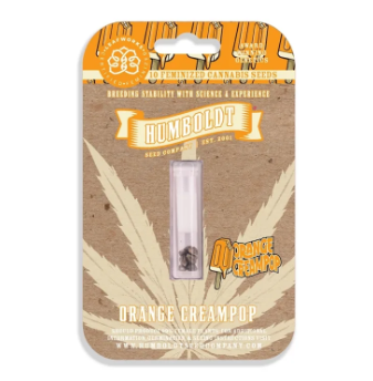 Photograph of product: Orange Cream Pop (Si) Feminized Seeds 3pk - Humboldt Seed Company