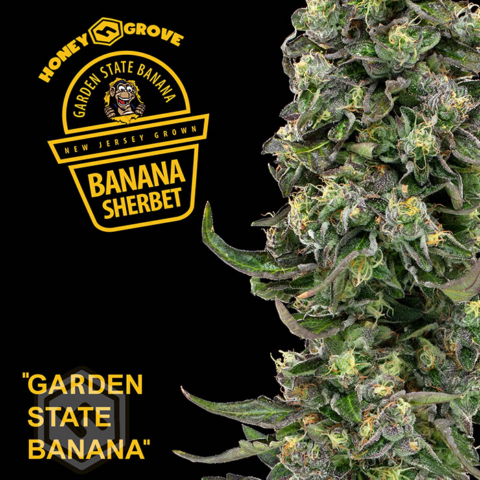 Photograph of product: Banana Sundae 3.5g