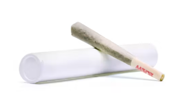 Photograph of product: Pinball Wizard - 1913 - 1g Infused Pre-Roll