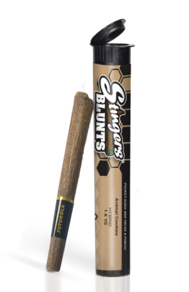 Photograph of product: Chocolate Orange Cream x Rainbow Sherbert (H)