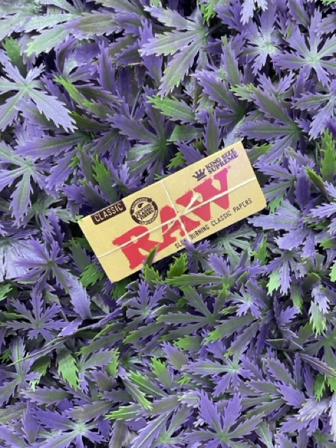 Photograph of product: RAW I Rolling Paper Classic I King