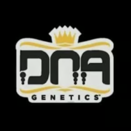 Photograph of product: DNA Genetics | Sharks Breath 2.0 PreRoll 1g - Hybrid
