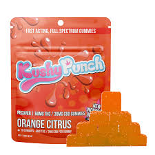 Photograph of Product: Kushy Punch - Orange Citrus Recover (6:3 THC/CBD) Edible 100mg