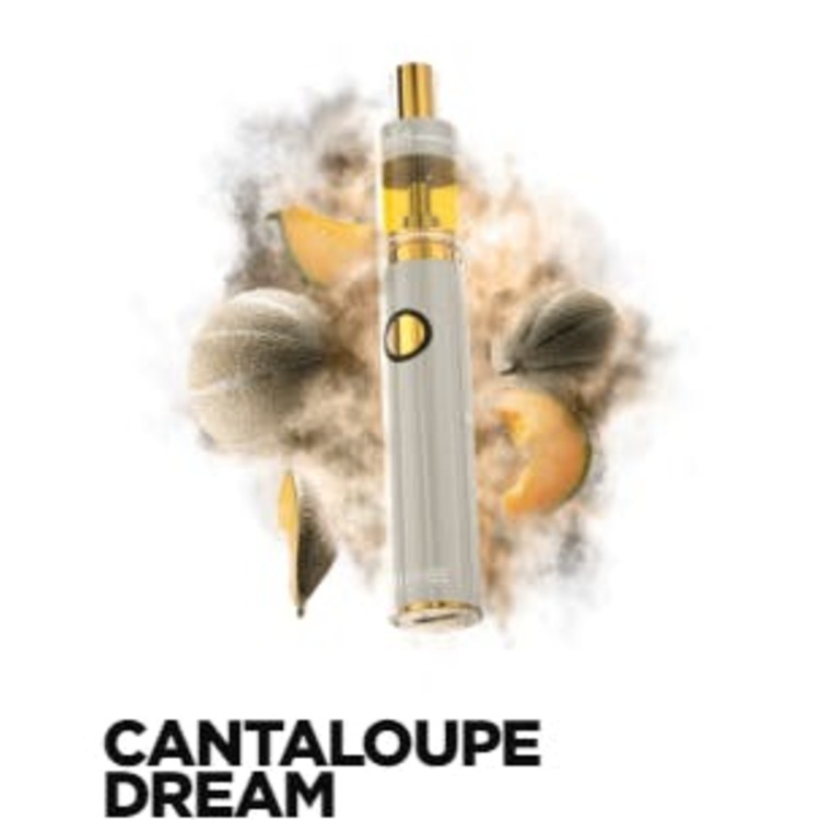 Photograph of product: DIME INDUSTRIES - Cantaloupe Dream Disposable