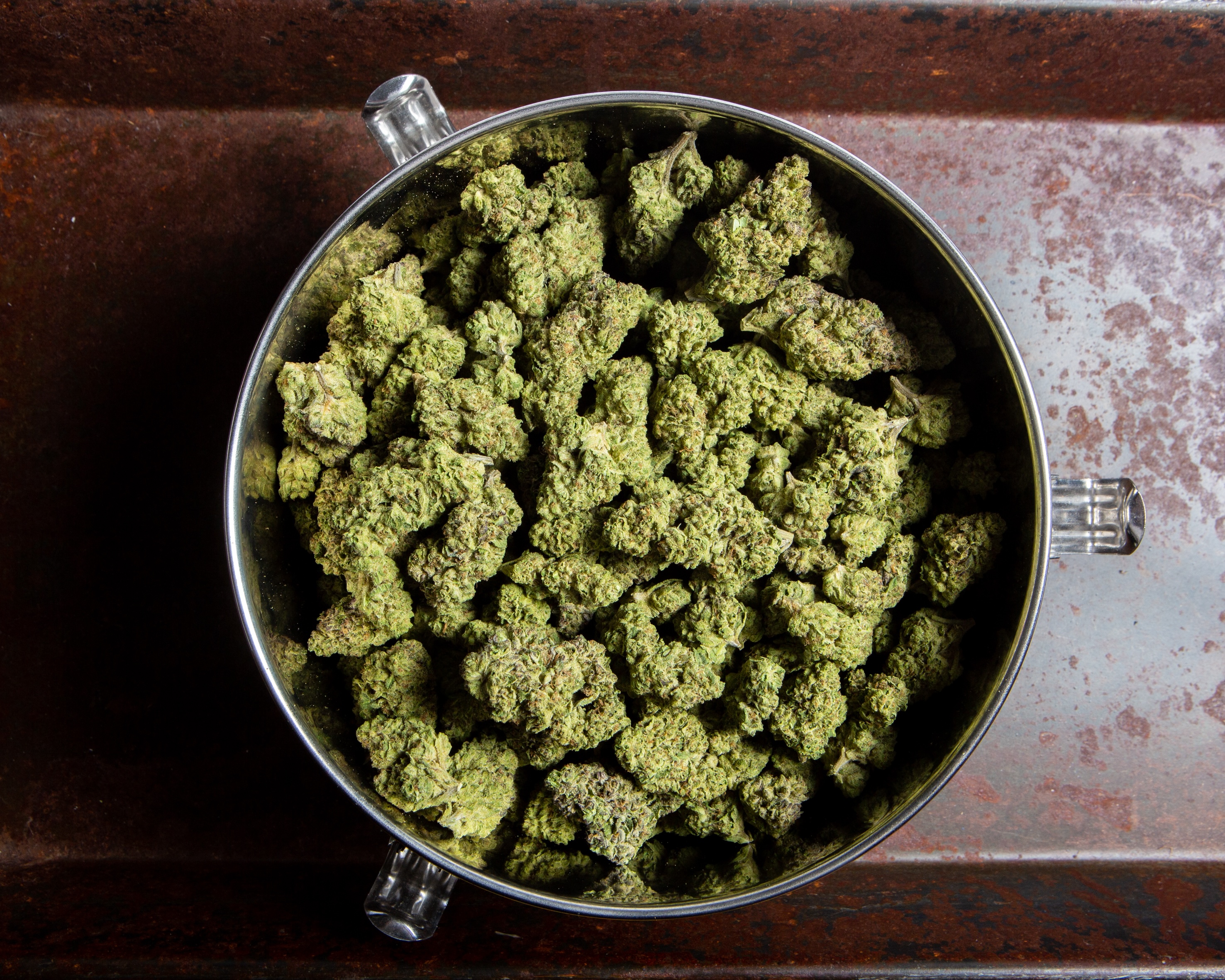 Photograph of product: Sofresh Farms Blue Dream - 28g