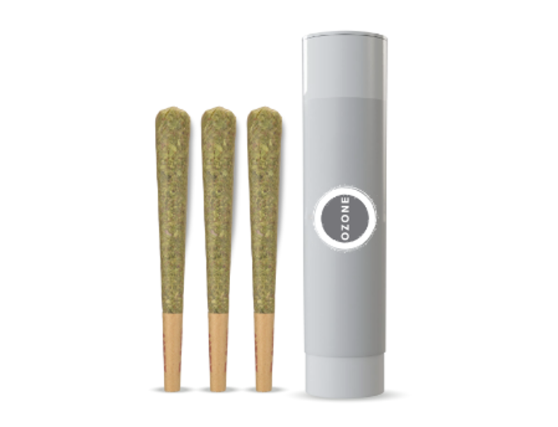 Photograph of product: Robusta #4 - 3pk Prerolls