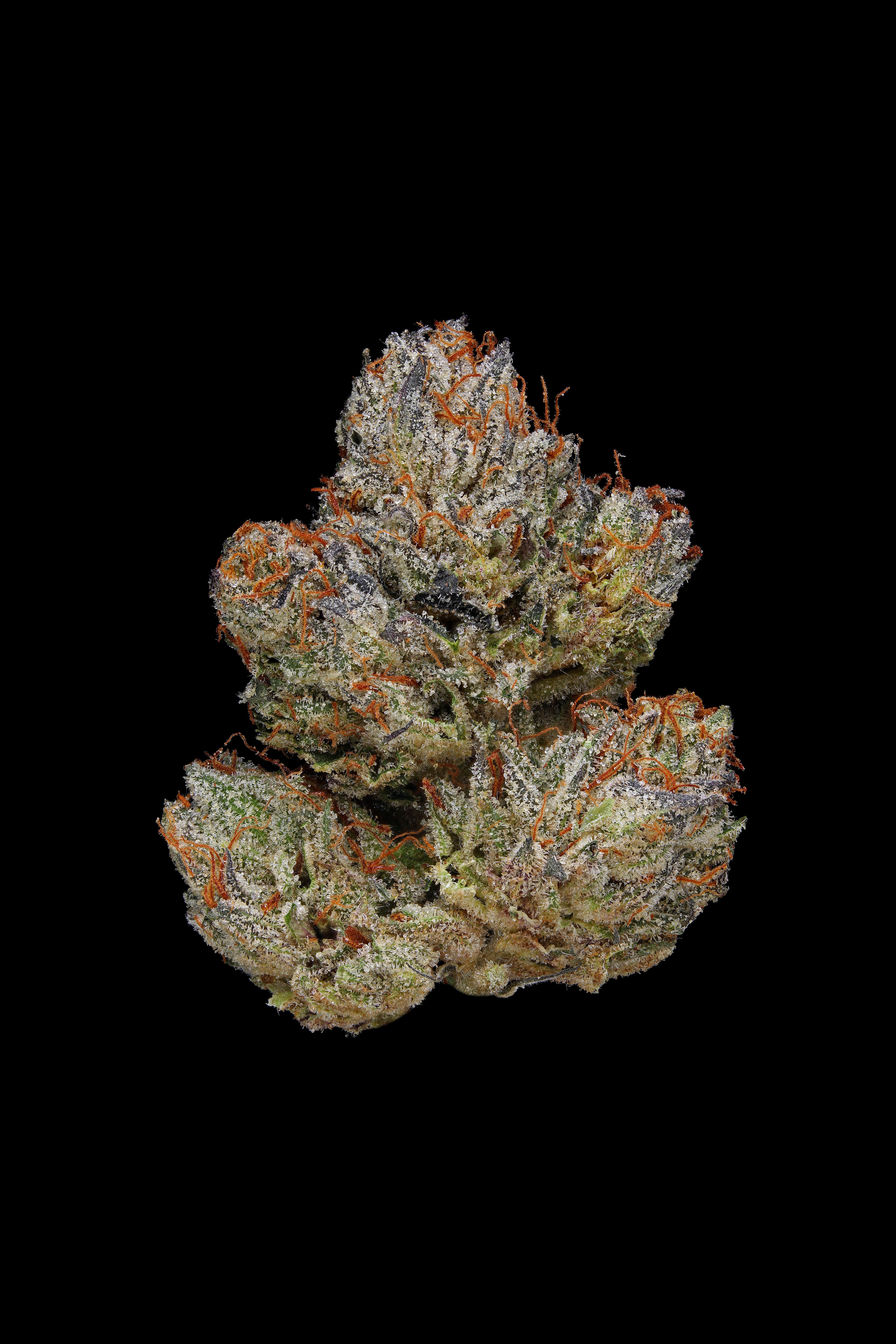 Photograph of product: Small Bud | Figueroa OG - 7g