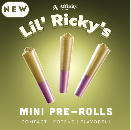 Photograph of product: Speakeasy Lil' Ricky's 3x.3g (S) 00405