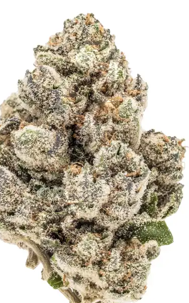 Photograph of product: Banana OG | Small Flower  (TAX INCLUDED) - 4g