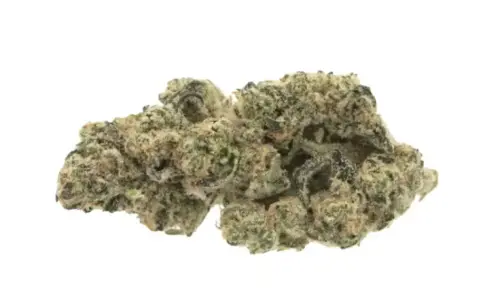 Photograph of product: GSC x Gelato 3.5g (Points N/A)