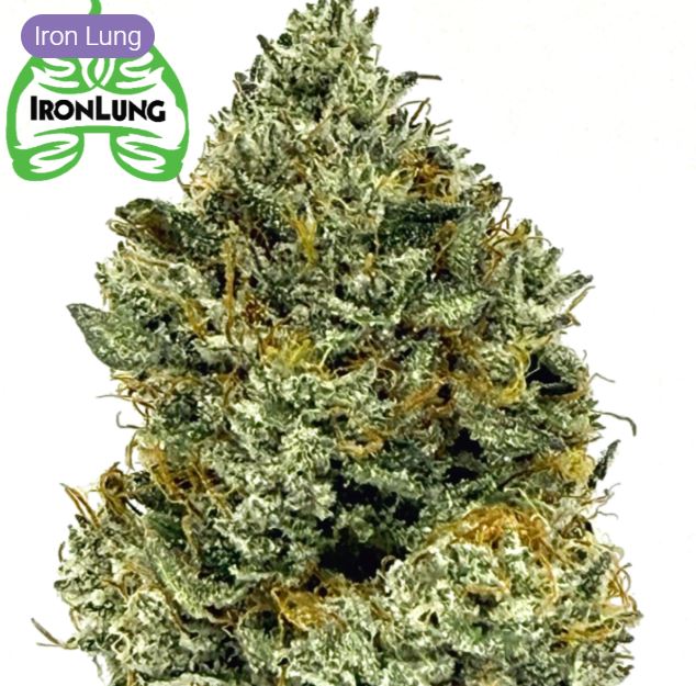 Photograph of product: S Iron Midnight Mass - 3.5g