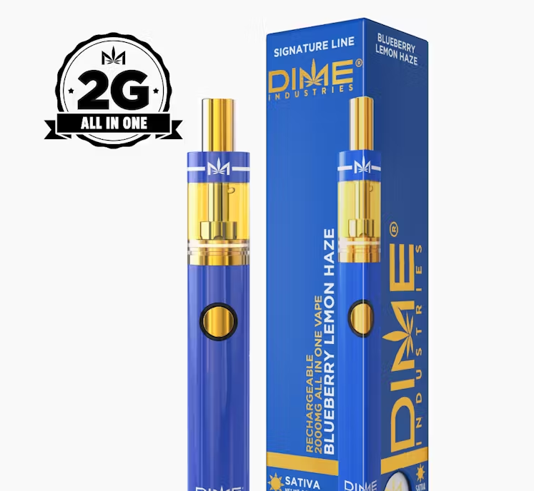 Photograph of product: DIME Blueberry Lemon Haze 2g Disposable