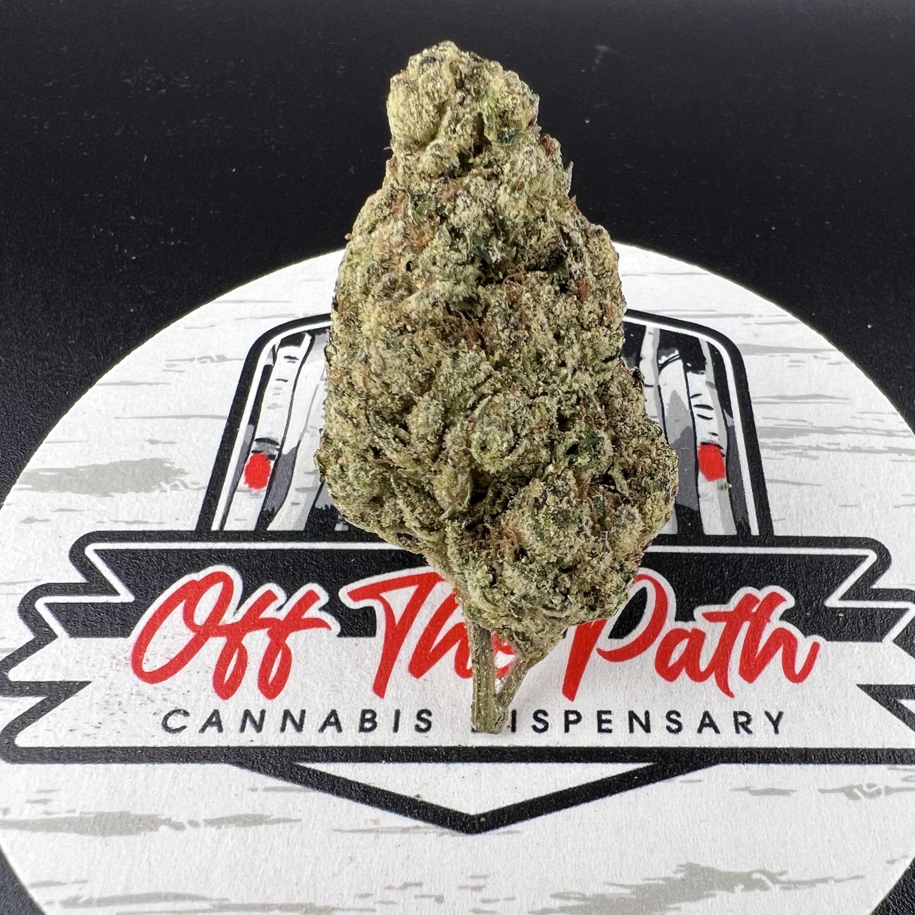 Photograph of product: Amnesia Haze - 1g Preroll - Oui'd - Flower
