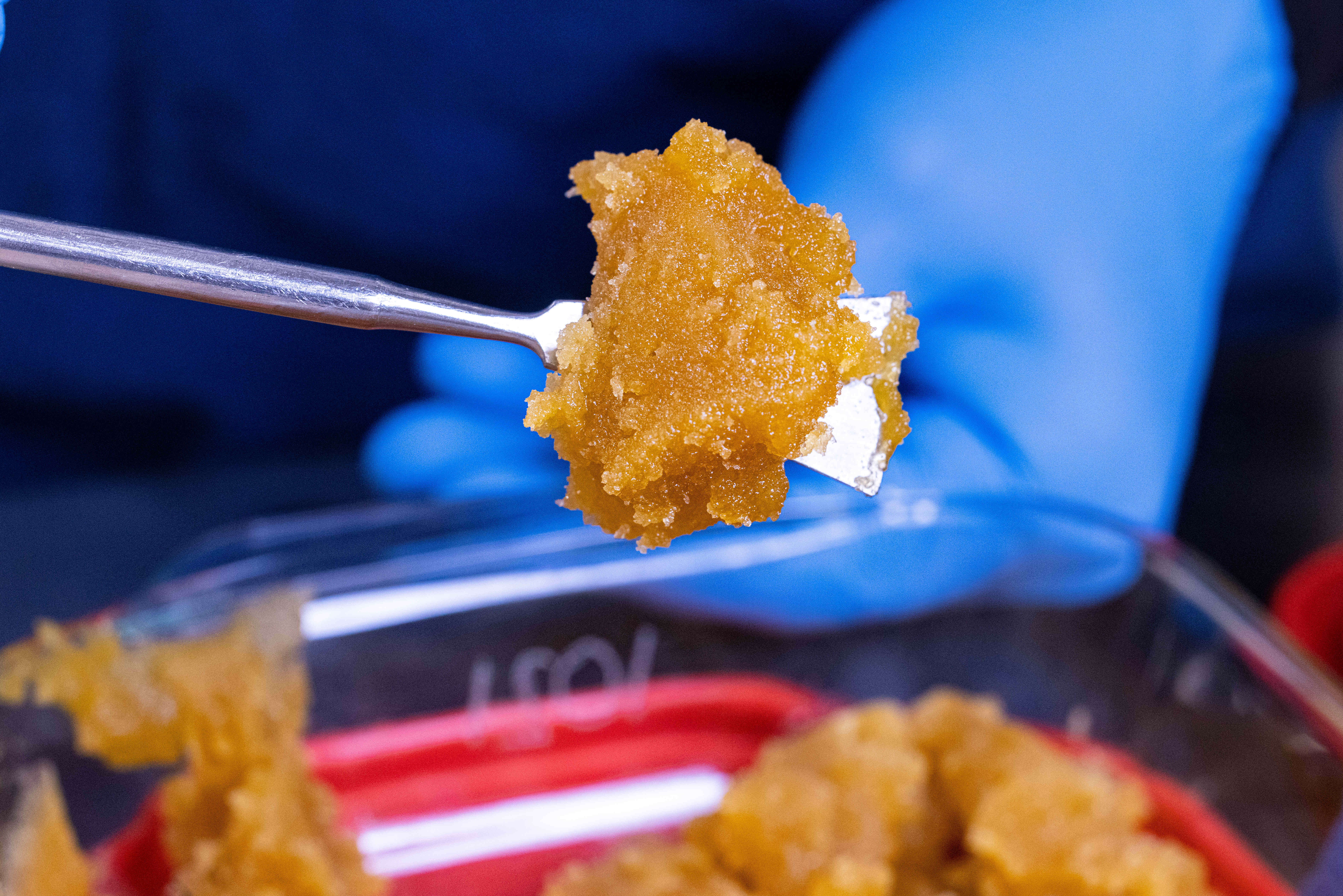 Photograph of product: Haze Fried Ice Cream | 1g Live Sugar