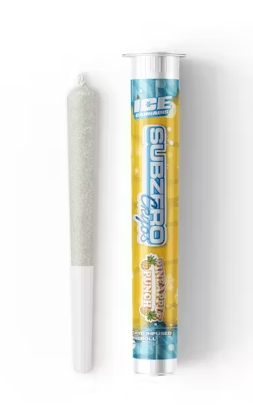 Photograph of product: Bubblegum Gelato | Cryo Infused Pre-Roll