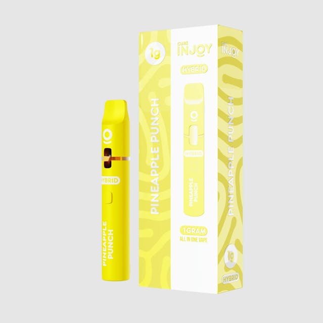 Photograph of product: Pineapple Punch | 1G AIO
