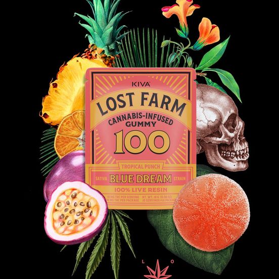 Photograph of product: Lost Farm - Tropical Punch Blue Dream - One Piece Live Resin Gummies - 100mg - 