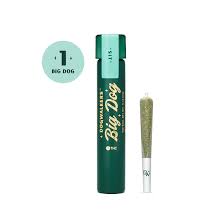 Photograph of product: Mystic Mint (Sit) - 1g Big Dogs
