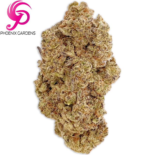 Photograph of product: GMO COOKIES (14G)
