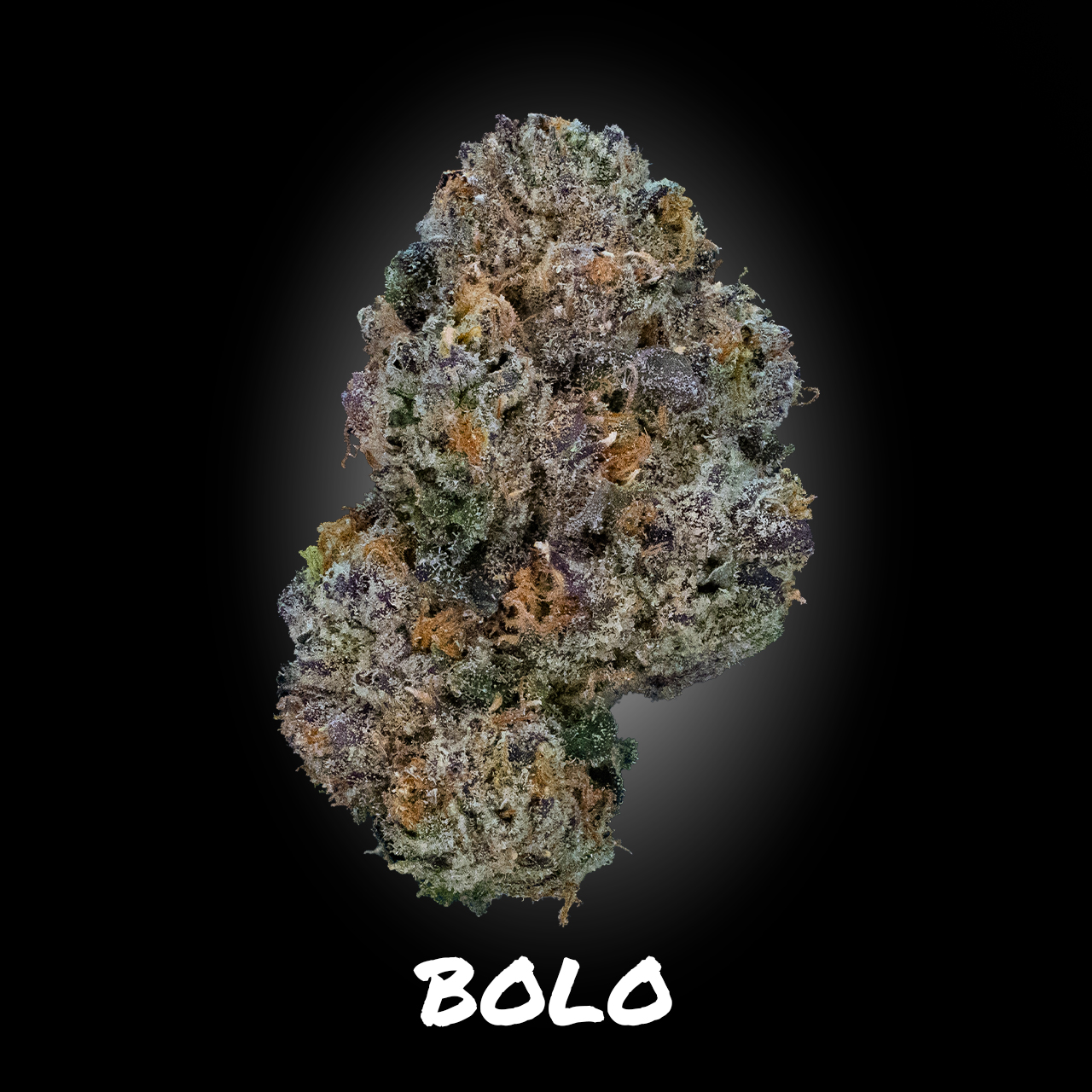 Photograph of product: BOLO - Demboyz Prepackaged Flower - 3.5g