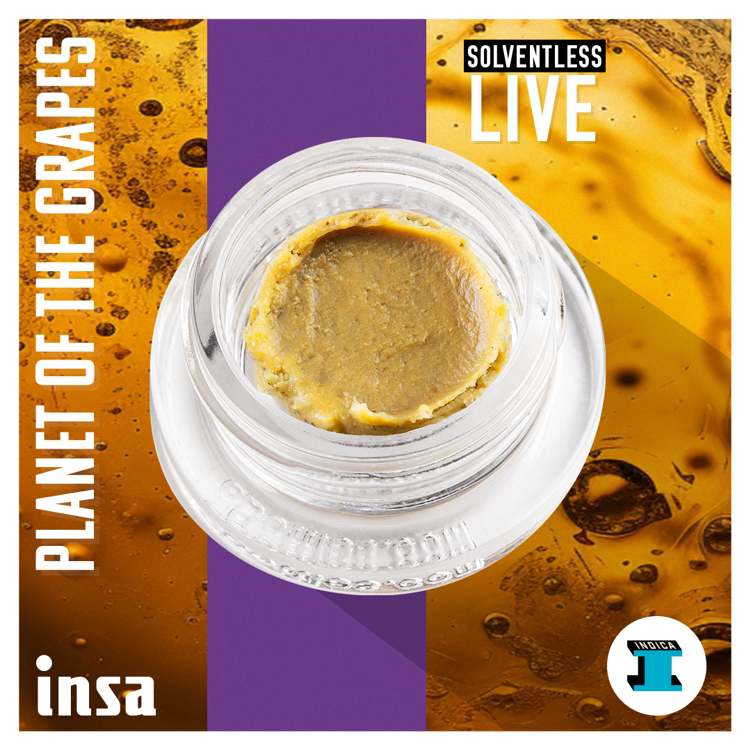 Photograph of product: Live Rosin - Planet of the Grapes