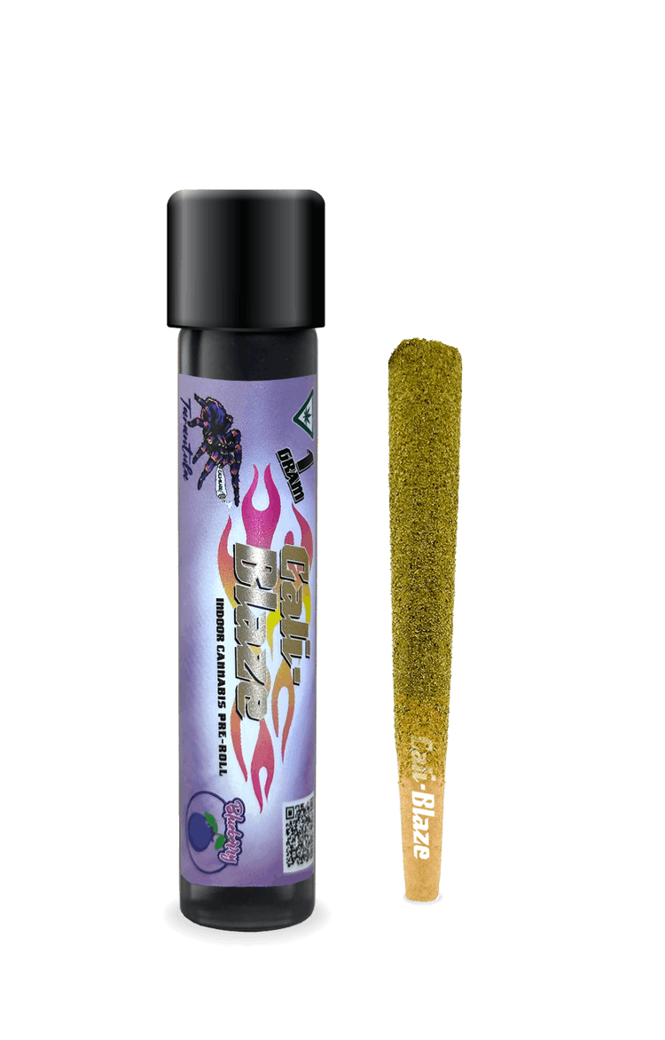 Photograph of product: Cali-Blaze Blueberry Infused Tarantula Preroll Rec